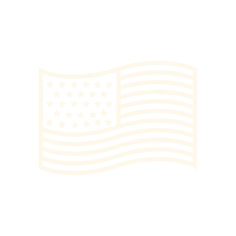 Made in USA Flag Icon