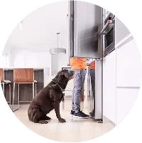 dog waiting on food by the fridge