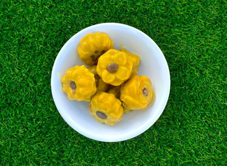 flower shaped dog treats