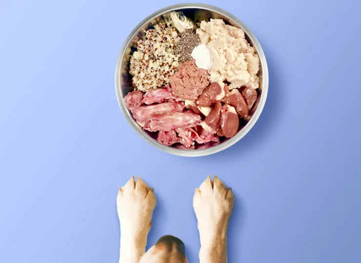 DIY Raw food bowl with dog waiting