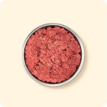 raw dog food