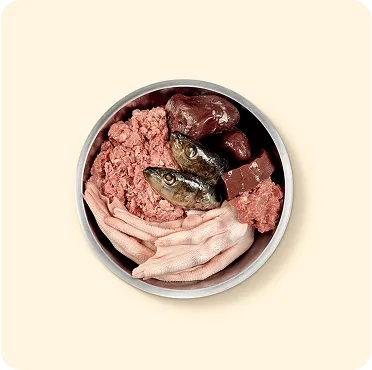Raw Ingredients