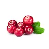 Cranberries