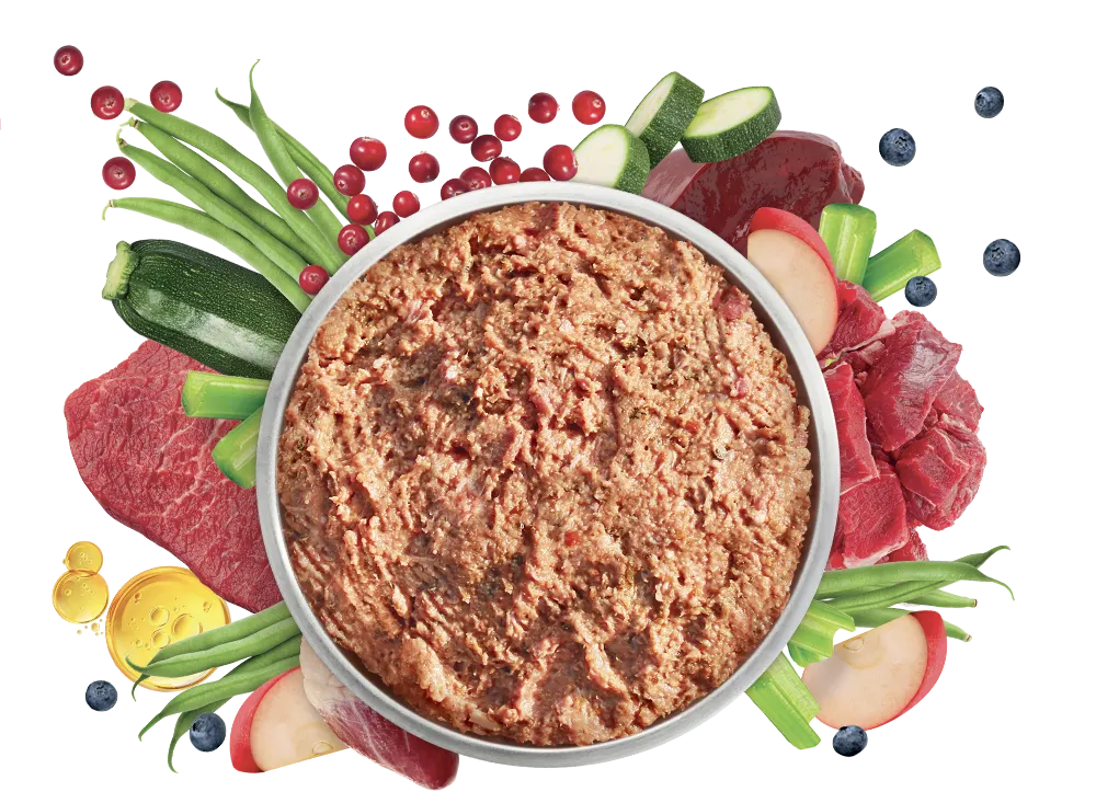raw dog food bowl surrounded by ingredients