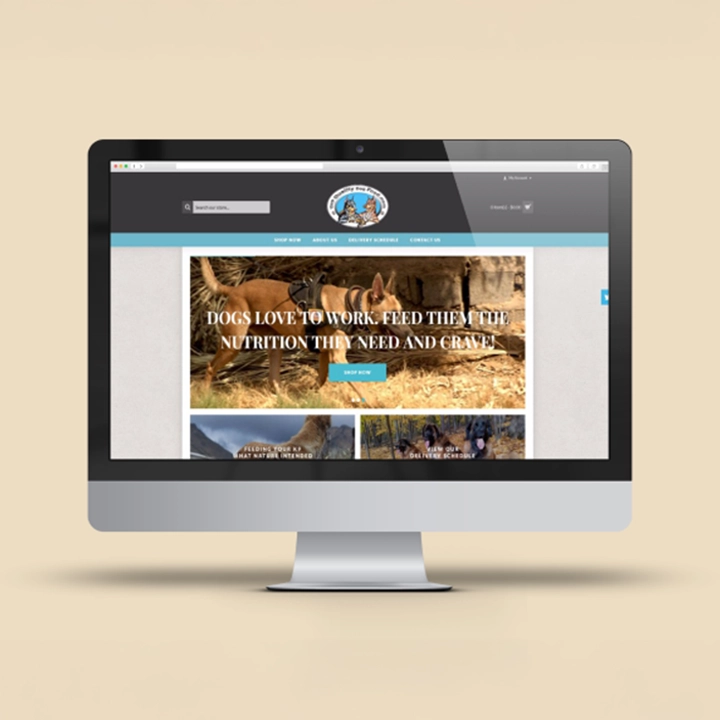 ecommerce site launch