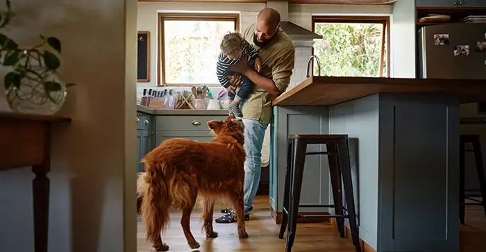 box baby meeting a dog