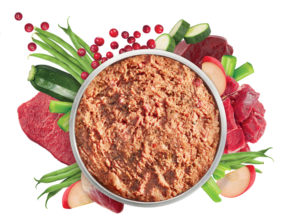 Bowl of fresh raw food full of nutrients