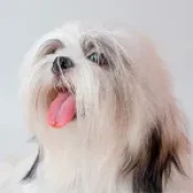 a30b7b0d003ff5834381762994be7a0fb77e8217